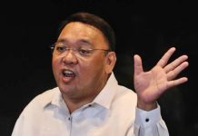 Harry Roque Claims Name Not on Interpol Red Alert Notice List