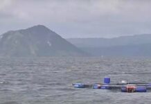 Taal Lake Fish: Are They Safe To Eat? Agriculture Department Responds