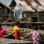 Philippines’ ‘last ecological frontier’ battles demand for nickel