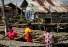 Philippines’ ‘last ecological frontier’ battles demand for nickel