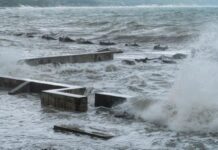Class Suspensions for Wednesday (July 30, 2025) Due to Tsunami Warning
