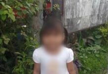 Young Girl Hit by Speeding Dump Truck Reportedly Had Premonition Before Her Death