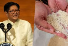 Bongbong Marcos Suspends Rice Importation for 60 Days