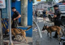 PNP K9 Dog Photo During Investigation Draws Concerns