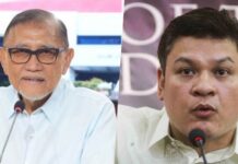 Paolo Duterte Says No ‘Ghost’ Flood Control Projects in Davao