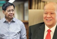 Ping Lacson Wants DPWH, MMDA Budget Reduced if Ramon Ang Offer Pushed Through