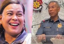 Sara Duterte Speaks on Torre’s Relief as PNP Chief as Ordered by Marcos Jr.