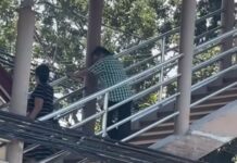 Concerned Netizen Touched by PWDs & Senior Citizens Struggling on Overpass