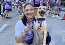 Dog Once Shot w/ Arrows Shines at Fun Run in Negros Occidental