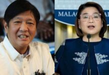 Bongbong Marcos Not Worried over Public Protest, Malacañang Says