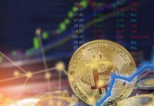 Top Crypto Exchanges of 2025: An In-Depth Guide for Traders
