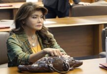 Imee Marcos Crocodile Bag: How Much Is It and Where Did She Buy It?