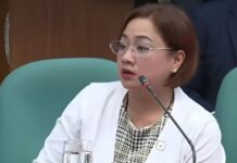 Sarah Discaya Admits To Owning 9 Construction Firms Bidding for the Same DPWH Projects