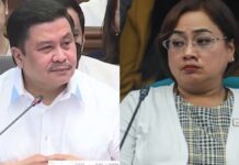 Sarah Discaya and Husband Own 80 Cars, According To Senator Jinggoy Estrada