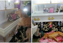 Faithful Dog Passes Away Days After Owner’s Death in Legazpi City