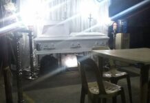 Mother of Six Dies After Hornet Attack in Puerto Princesa