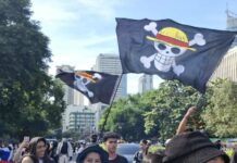 How the ‘One Piece’ pirate flag became the global emblem of Gen Z resistance
