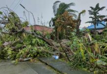At least three dead as ‘Opong’ sweeps through Philippines