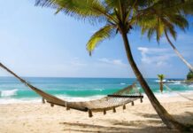 2026 Long Weekends in Philippines & The Best Time To Plot Your Leaves