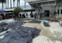 Dozens killed as powerful quake strikes Cebu
