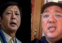 Harry Roque Believes Marcos Jr. Should Resign So Filipinos Might Forgive Him