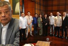 Only 2 Senators from Minority Bloc Released their SALN despite Ombudsman’s Call