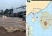 Clearer Skies Ahead: Pagasa Lifts Wind Signals After Paolo Leaves PAR