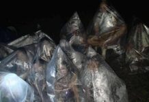 Cebu Residents Forced to Sleep Inside Plastic Bags After Quake