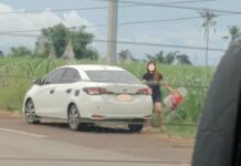 Woman Caught Abandoning Cats Beside the Road in Cadiz City