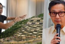 DPWH Chief Vince Dizon Speaks on Slater Young’s Monterazzas Project