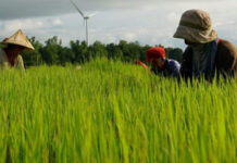 Philippines Q3 farm output up 2.8% from year ago