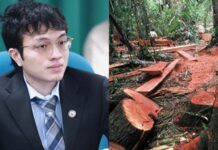 Kiko Barzaga Demands Dea*h Penalty for Those Behind Illegal Logging & Mining Disasters