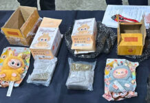 Labubu keychains used to smuggle high-grade marijuana