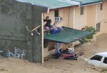 26 Killed as Typhoon Tino Triggers Catastrophic Flooding