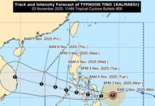 Typhoon Tino Update: Signal No. 1, 2, and 3 Raised in Several Areas