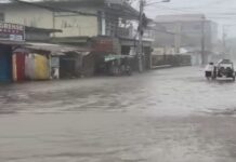 Typhoon Tino’s Death Toll Reaches 92 in Cebu, 13 in Negros Occidental