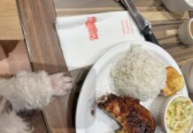 Fur Mom Praises Restaurant Manager for Showing Kindness to Her Pet Dog