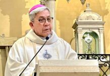 Church’s social action arm backs bill to ban political dynasties