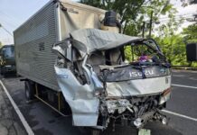 Helper Dies After Dozing Driver Crashes into Parked Truck in Laguna
