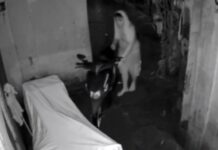 Man Steals Laundry First Before Taking Parked Motorcycle in Marikina