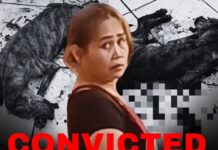 Woman Who Killed Stray Dog in Subic, Zambales Found Guilty
