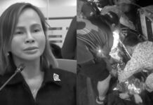 Cabral’s Driver Recounts Events Prior to Death of Former DPWH Usec.