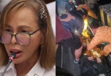 Catalina Cabral, EX-DPWH USec, Dead After Allegedly Falling From A Cliff