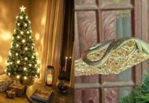 Snake Found Resting on Christmas Tree Ornament