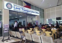 LTO Suspends Father’s License After Allowing Minor Daughter to Drive