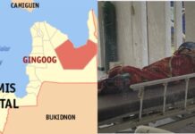 Two PWD Siblings Killed Inside Their Home by Own Father