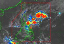 Wilma PH Update: PAGASA Releases Latest Info, Areas Under Signal No. 1