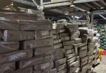 P100 Million Worth of Unpermitted Frozen Food Seized in Navotas