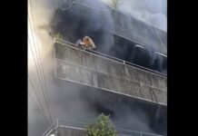 Fur Mom Praised for Saving Her Dogs From Burning Building in Cebu