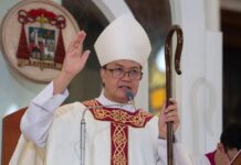 Cardinal decries ‘soft pork’ in health, social services